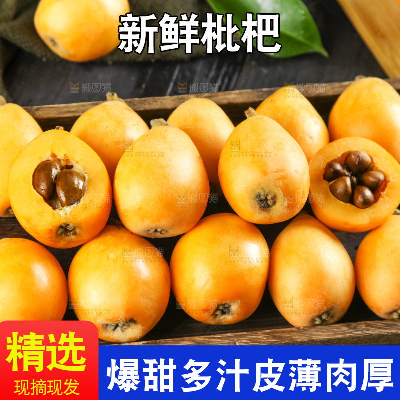 枇杷
