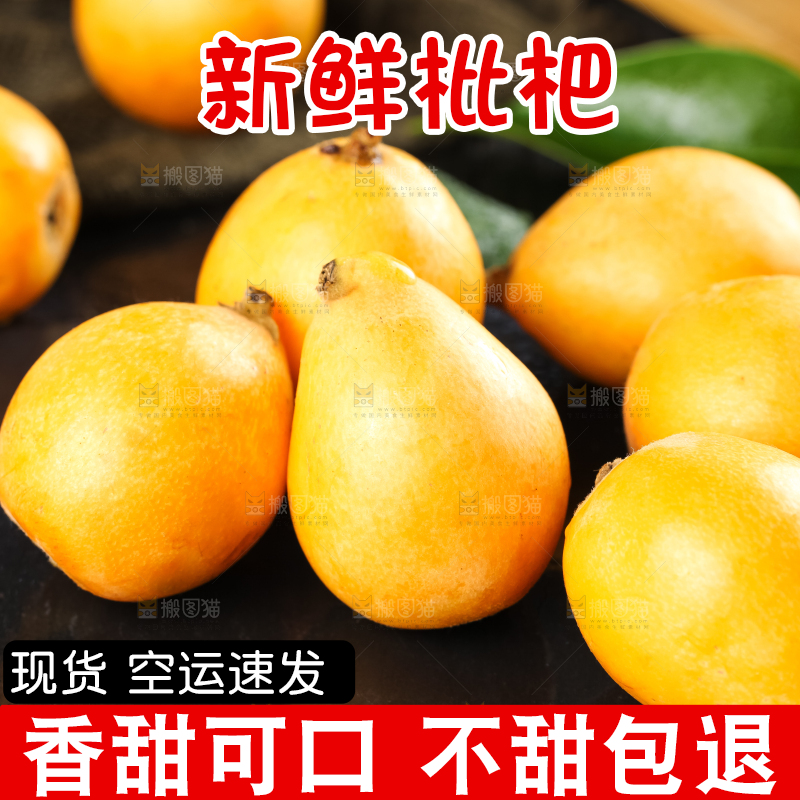 枇杷