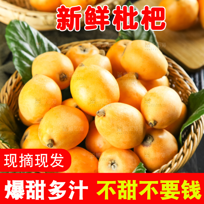 枇杷