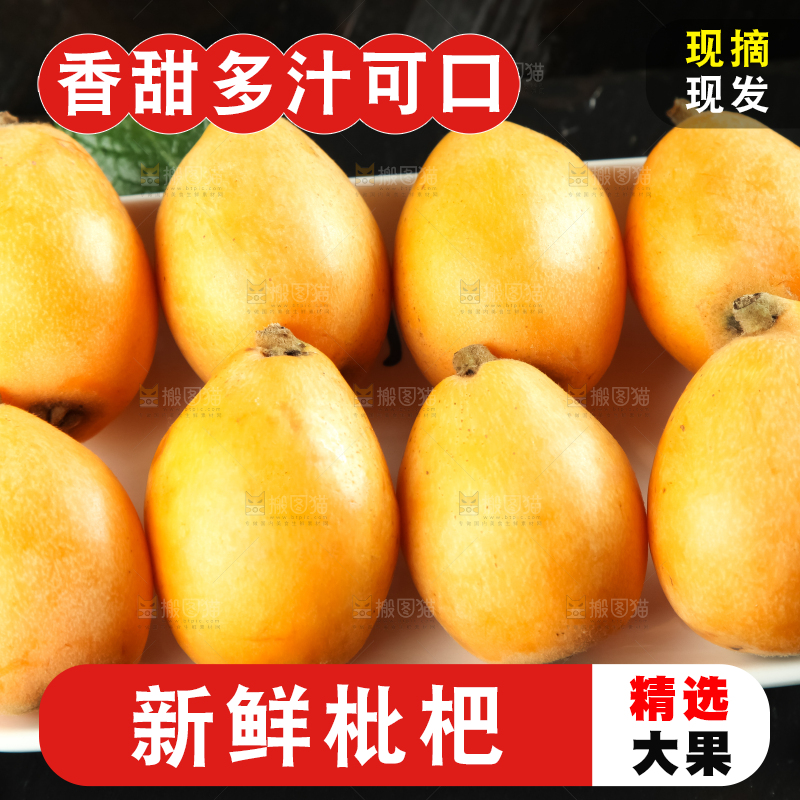 枇杷