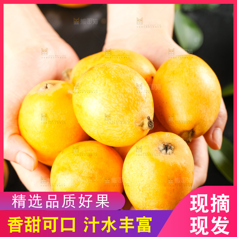 枇杷