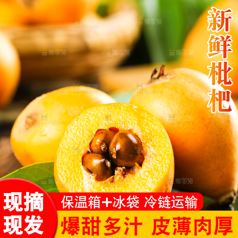 枇杷