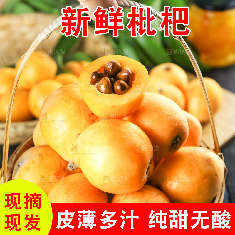 枇杷