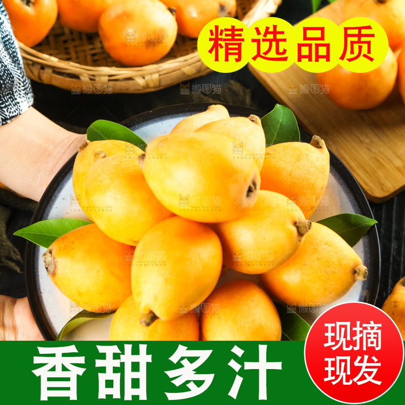 枇杷