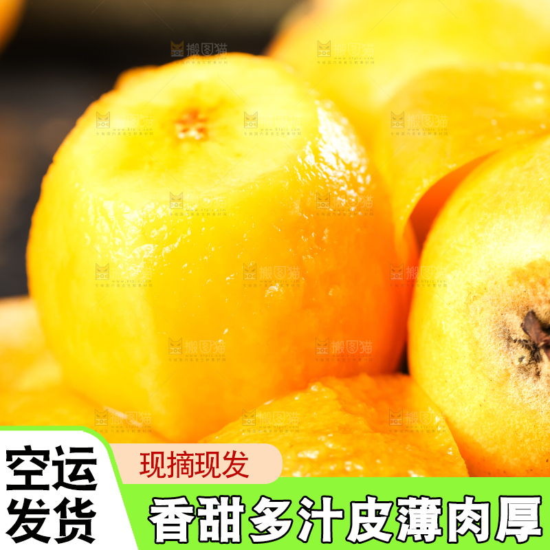 枇杷