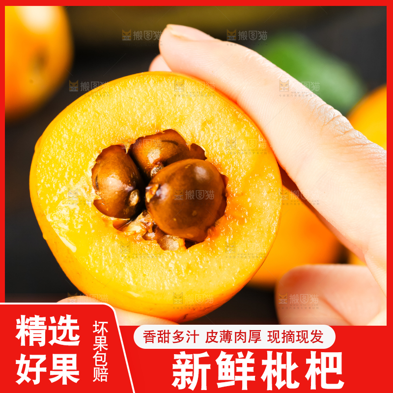 枇杷