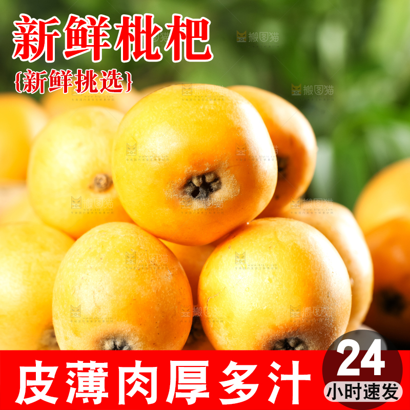 枇杷
