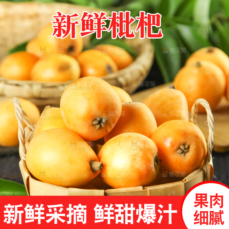 枇杷