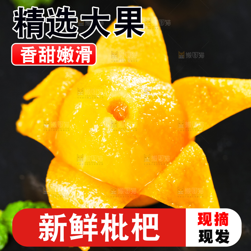 枇杷