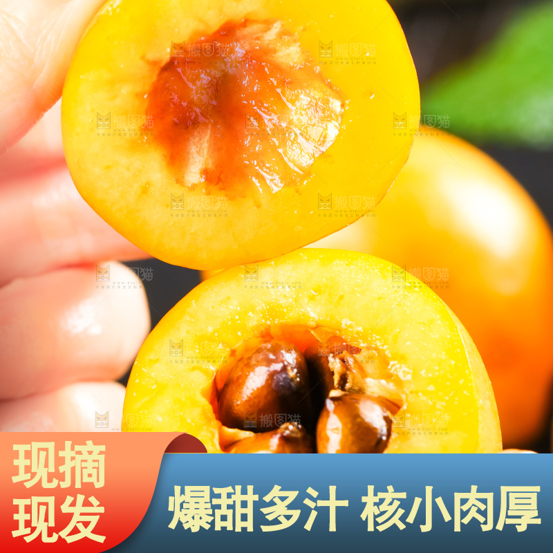 枇杷