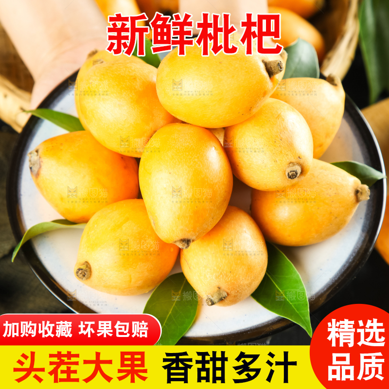 枇杷