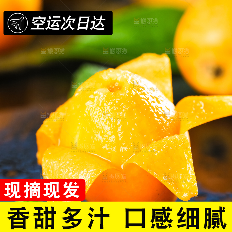 枇杷