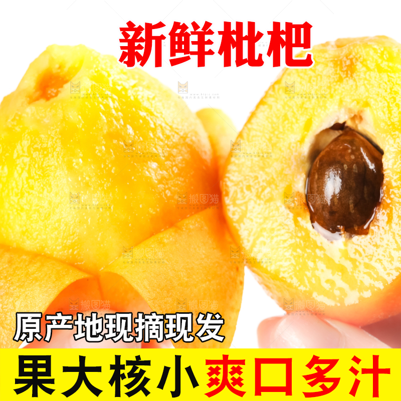 枇杷