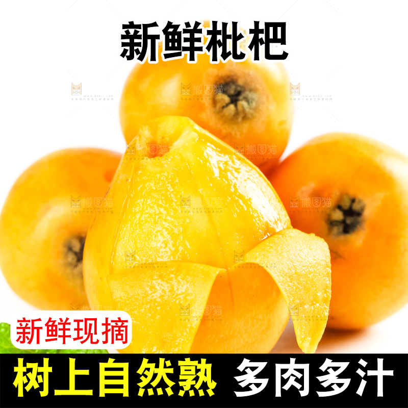 枇杷