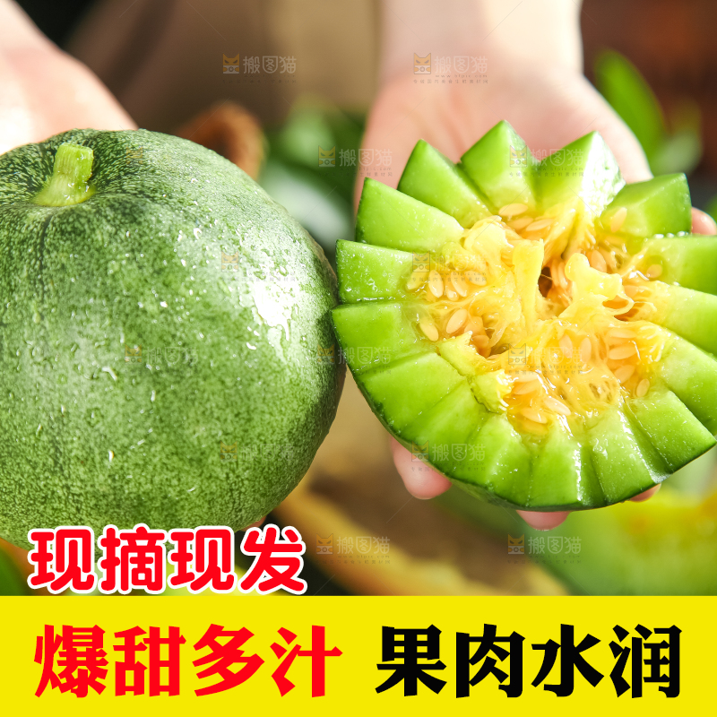 绿宝甜瓜