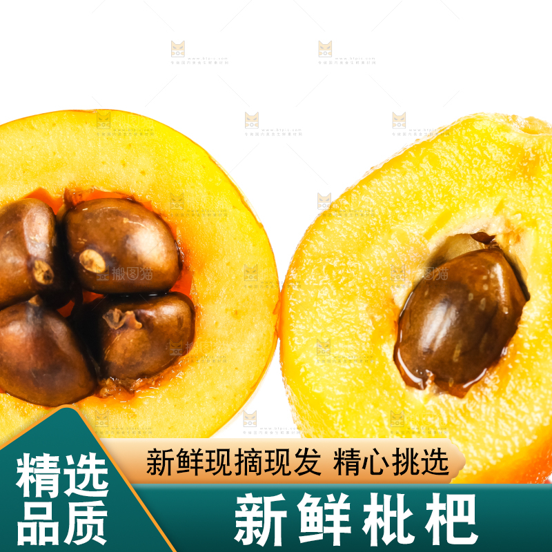 枇杷