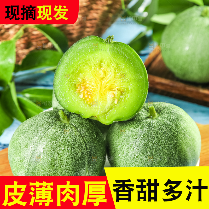 绿宝甜瓜