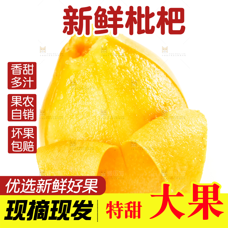 枇杷