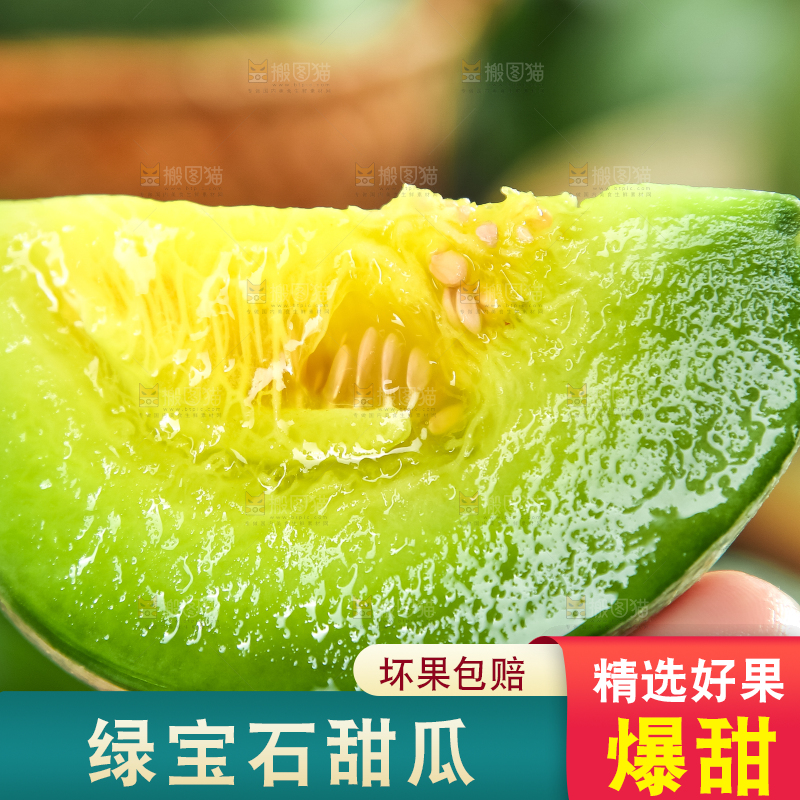 绿宝甜瓜