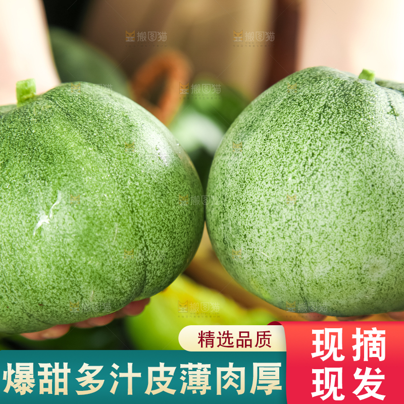 绿宝甜瓜