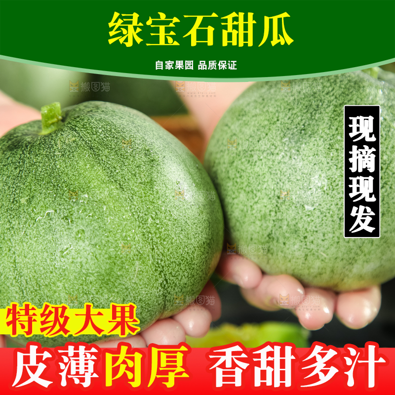 绿宝甜瓜