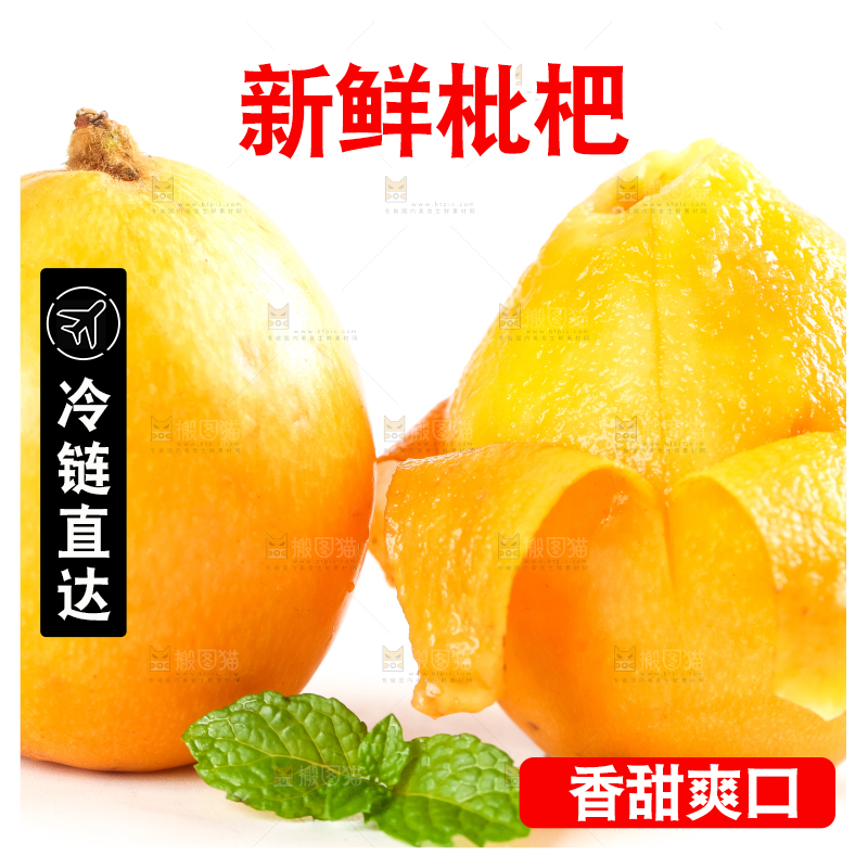 枇杷
