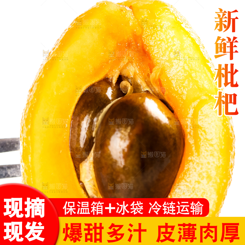 枇杷