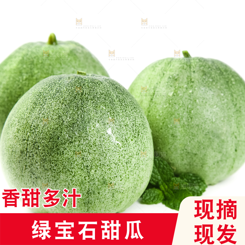绿宝甜瓜