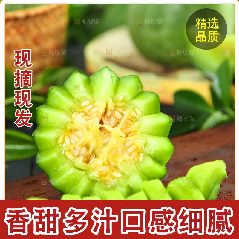 绿宝甜瓜