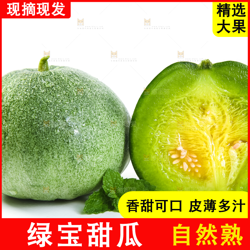 绿宝甜瓜