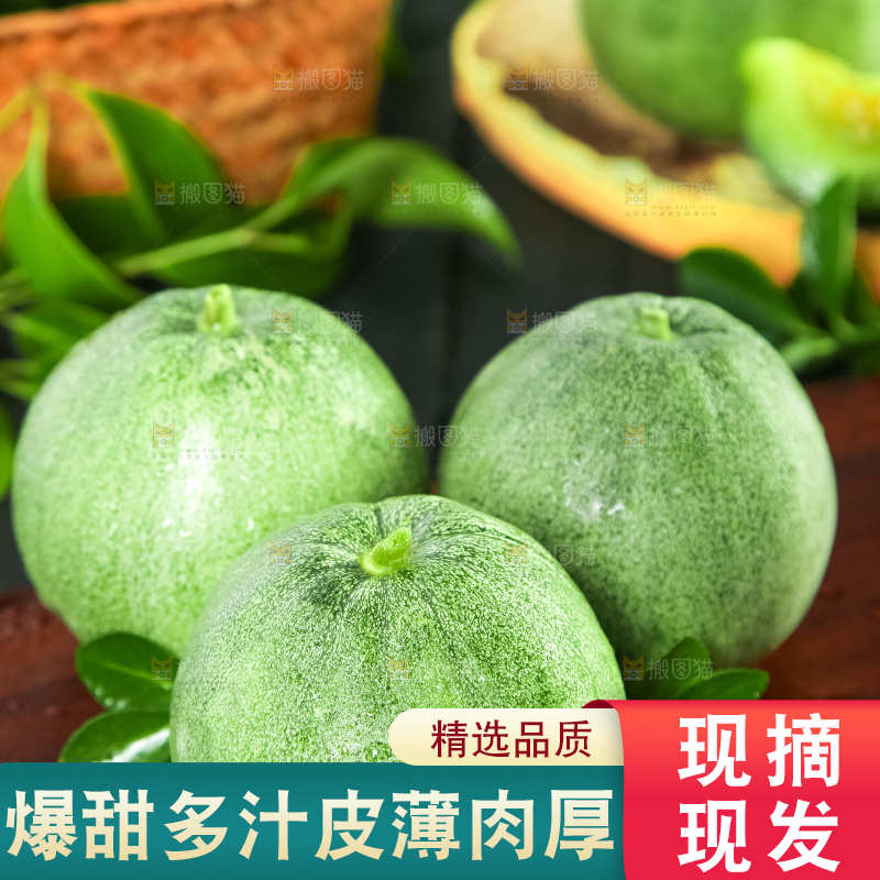 绿宝甜瓜