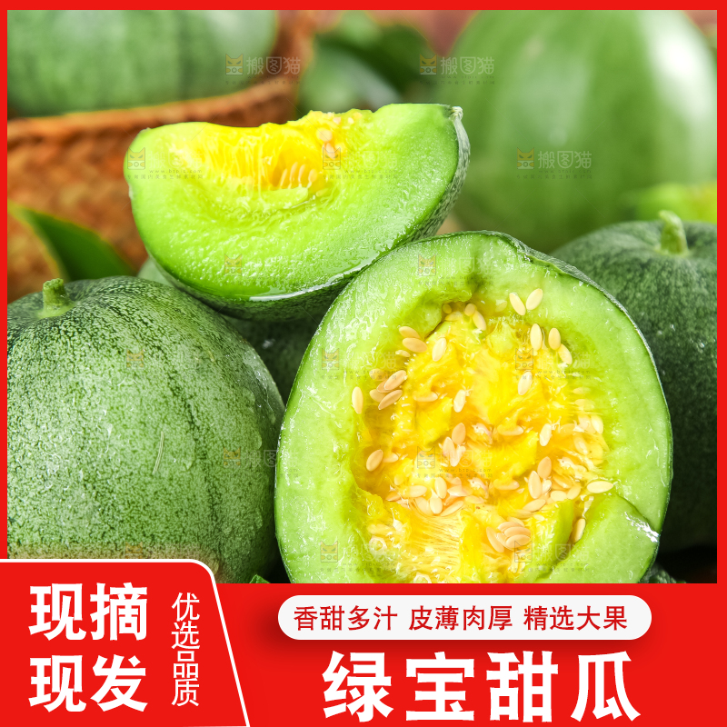 绿宝甜瓜