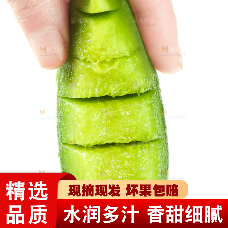 绿宝甜瓜