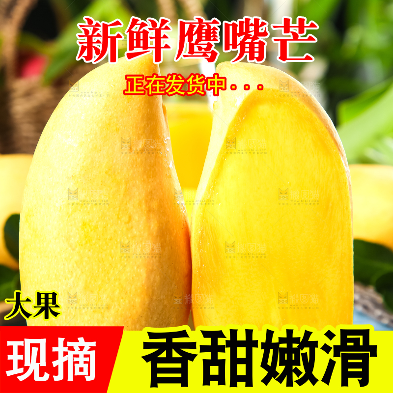 鹰嘴芒
