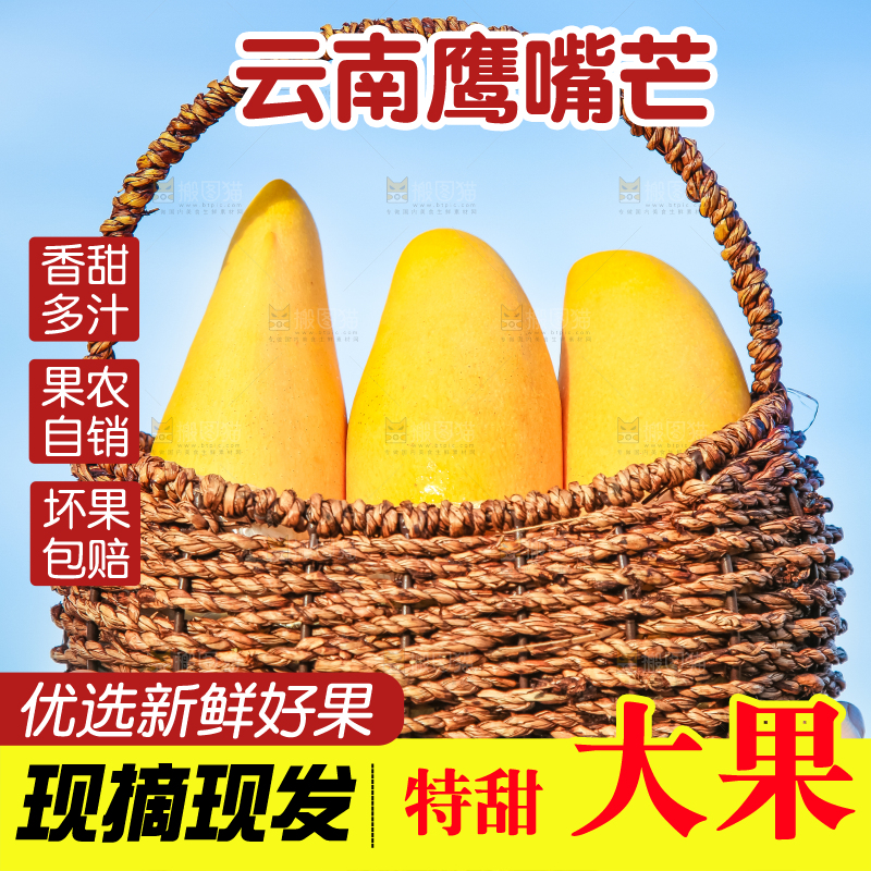 鹰嘴芒