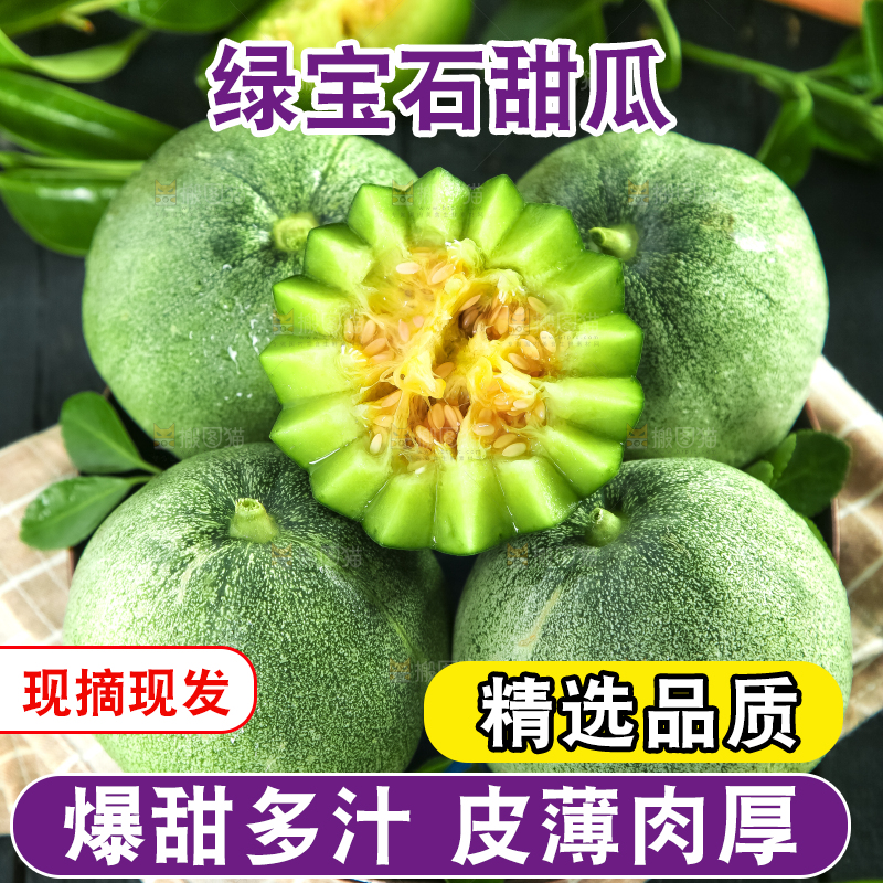 绿宝甜瓜