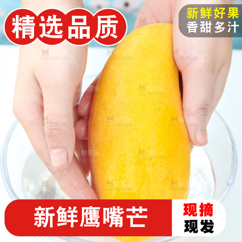 鹰嘴芒
