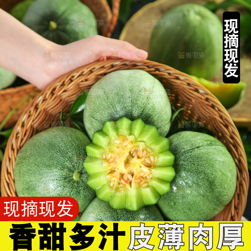 绿宝甜瓜