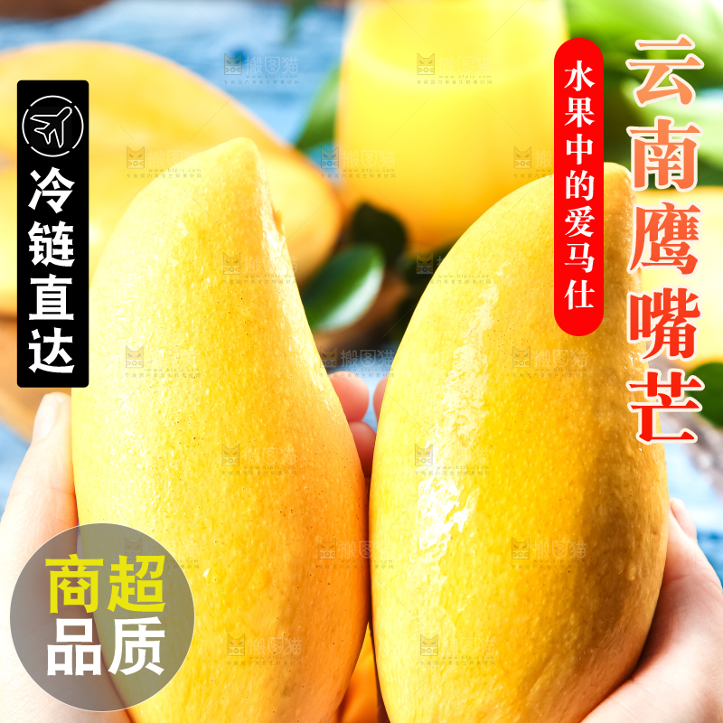 鹰嘴芒