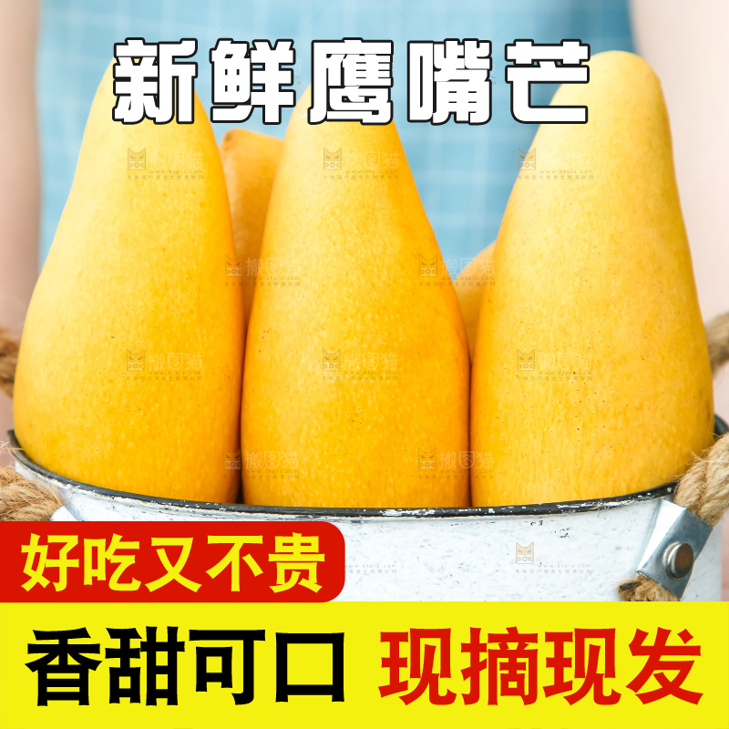 鹰嘴芒