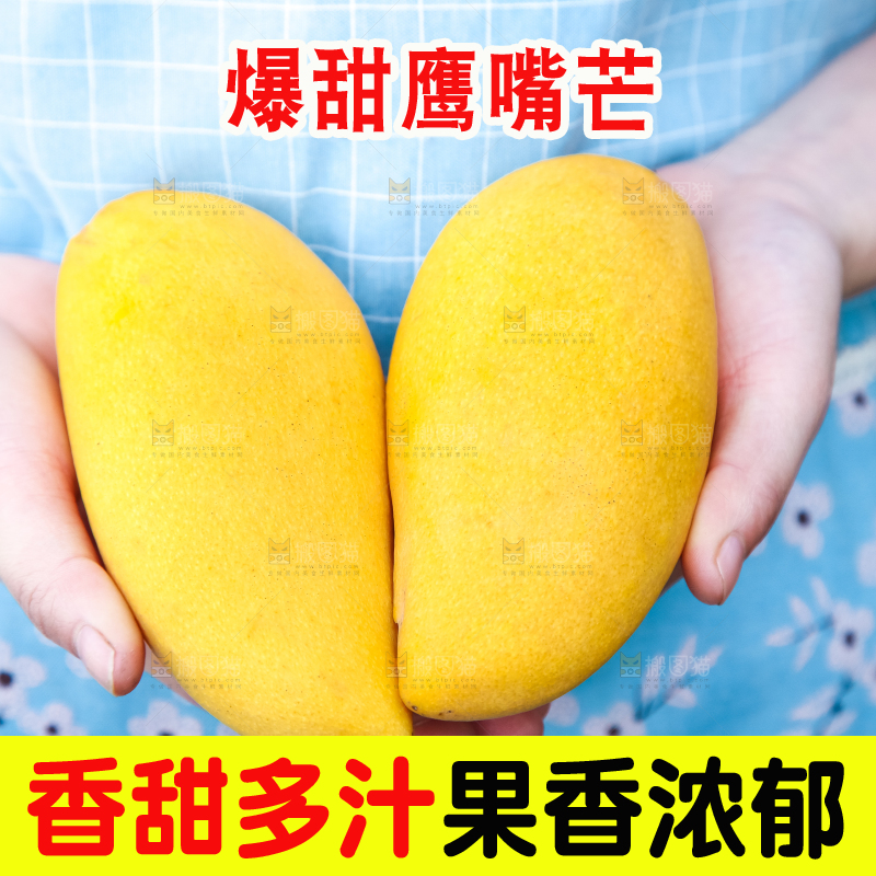 鹰嘴芒