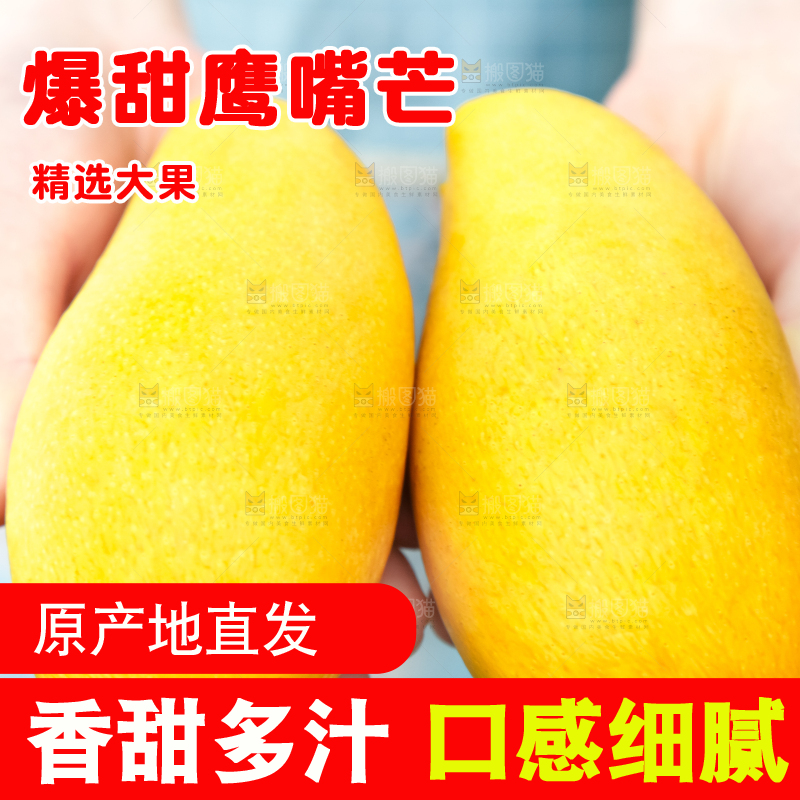 鹰嘴芒