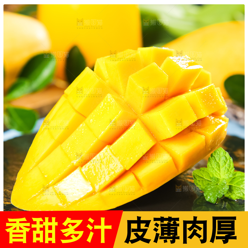 鹰嘴芒