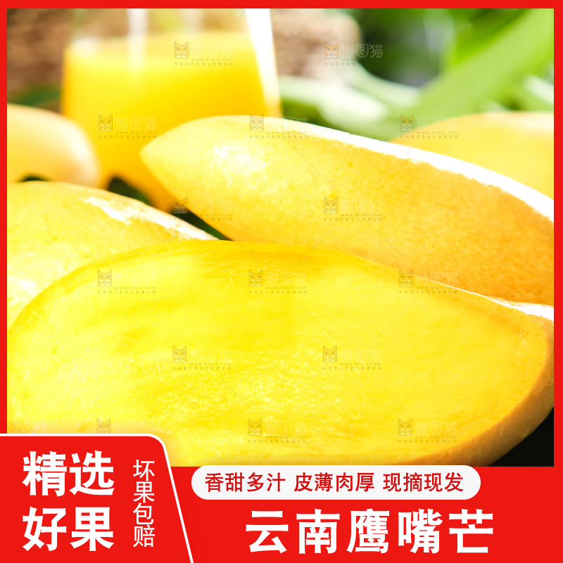 鹰嘴芒