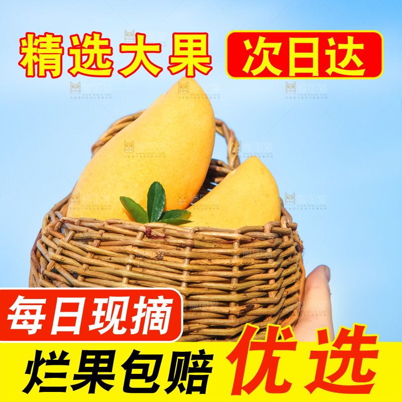 鹰嘴芒