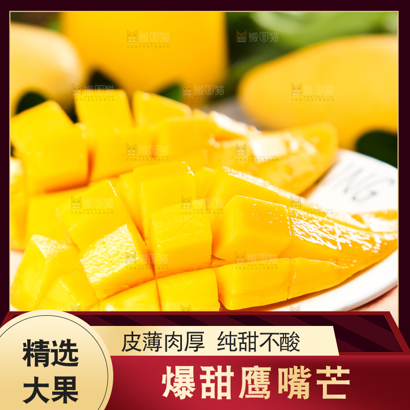 鹰嘴芒