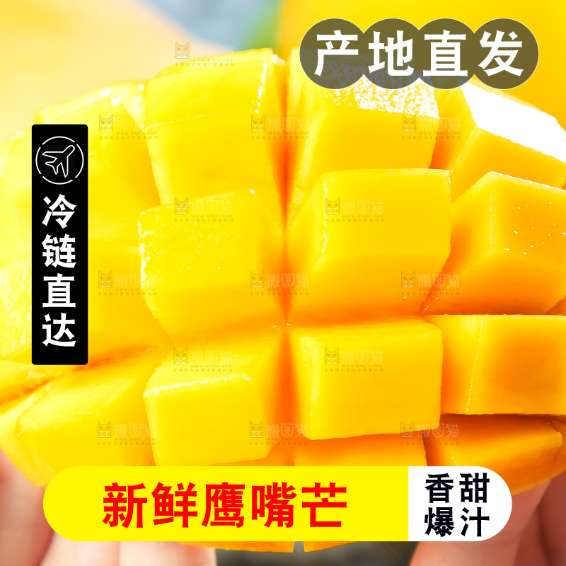 鹰嘴芒