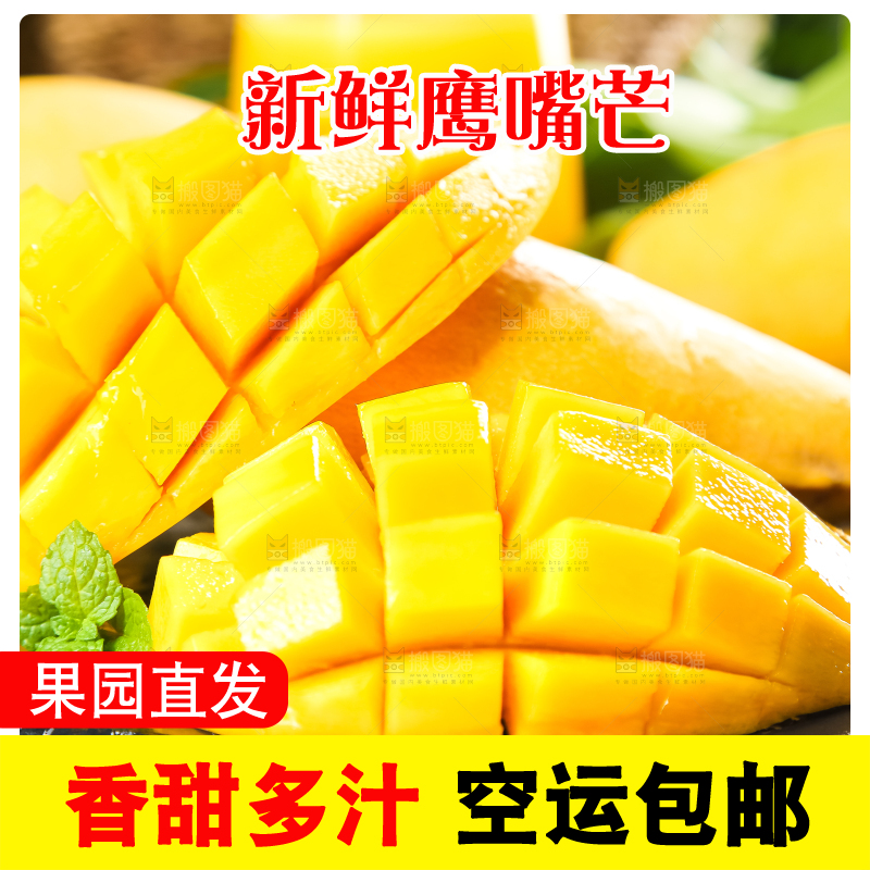 鹰嘴芒