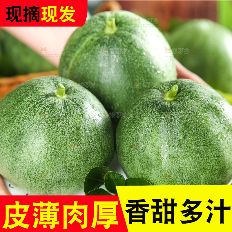 绿宝甜瓜