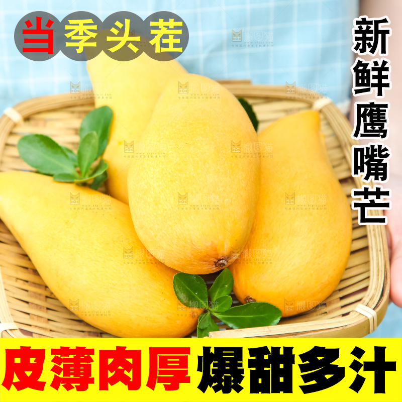 鹰嘴芒